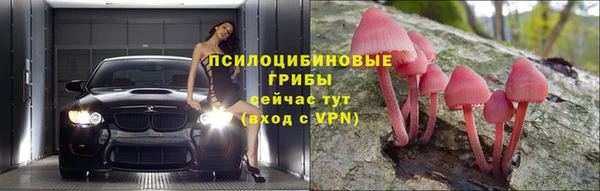 винт Козловка