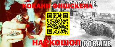 шишки Бийск