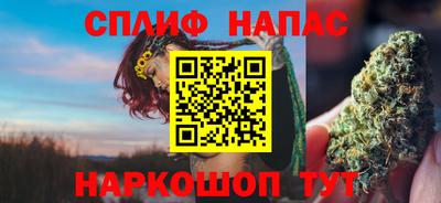 шишки Бийск