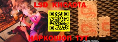 шишки Бийск