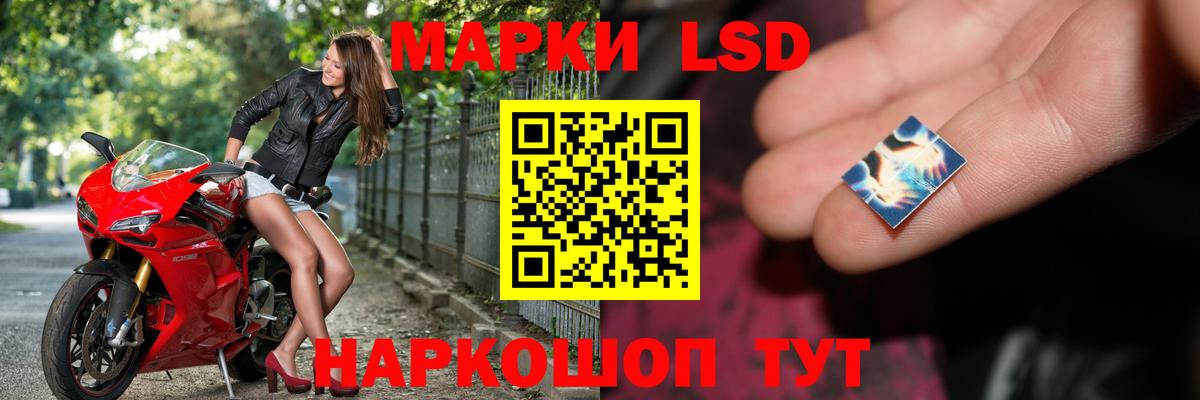 LSD-25 экстази кислота  Вход с VPN  Волгодонск  ссылка на мегу маркетплейс  LSD-25 экстази кислота  ЛСД экстази 