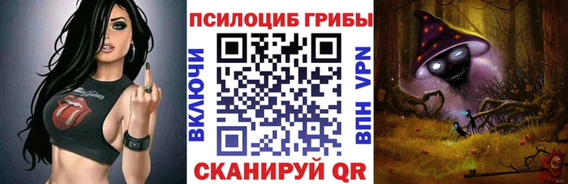 Псилоцибиновые грибы Psilocybe  что такое   Волгодонск 