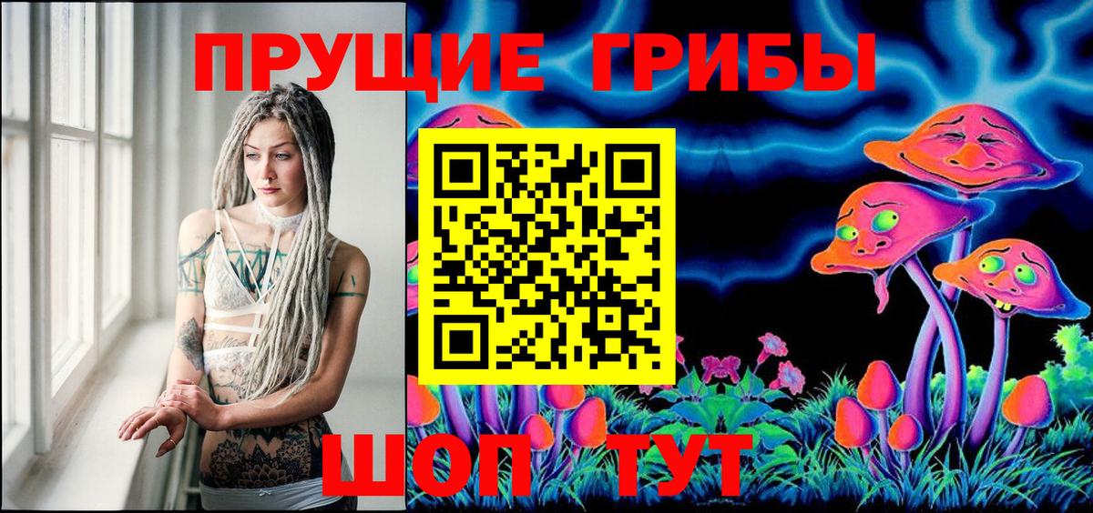 продажа наркотиков  Псилоцибиновые грибы мухоморы  Волгодонск  Псилоцибиновые грибы Psilocybe 
