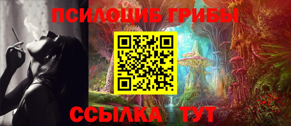 Галлюциногенные грибы GOLDEN TEACHER Волгодонск