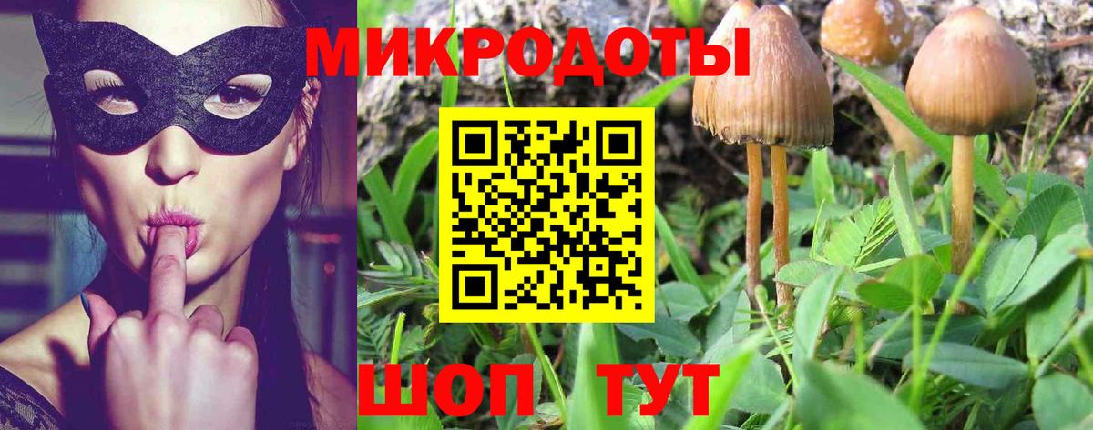 Галлюциногенные грибы Psilocybe  Вход с VPN  Волгодонск 