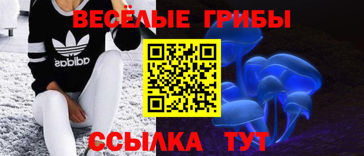 Галлюциногенные грибы GOLDEN TEACHER Волгодонск